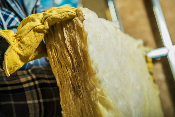 Best Home Insulation Services  in Allendale, MI