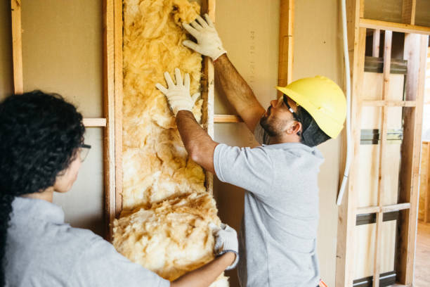 Best Local Insulation Services  in Allendale, MI