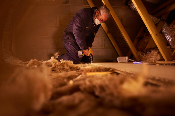 Insulation Repair Services in Allendale, MI
